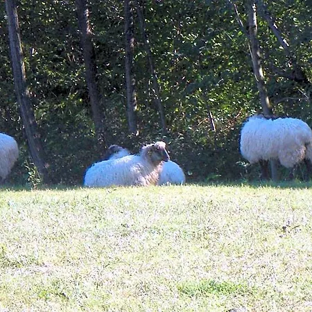Matsa Lezama (Biscay)