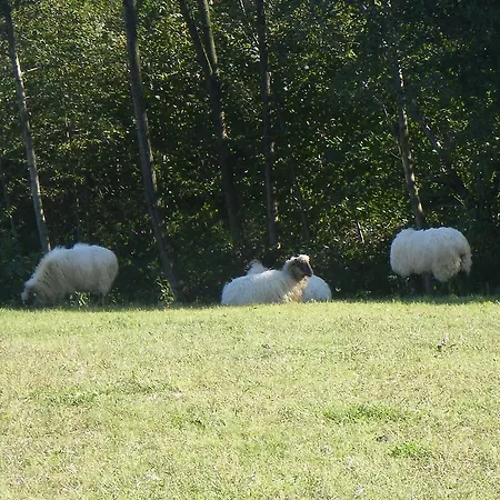 Rural Matsa